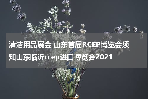 清洁用品展会 山东首届RCEP博览会须知山东临沂rcep进口博览会2021