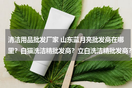 清洁用品批发厂家 山东蓝月亮批发商在哪里？白猫洗洁精批发商？立白洗洁精批发商？