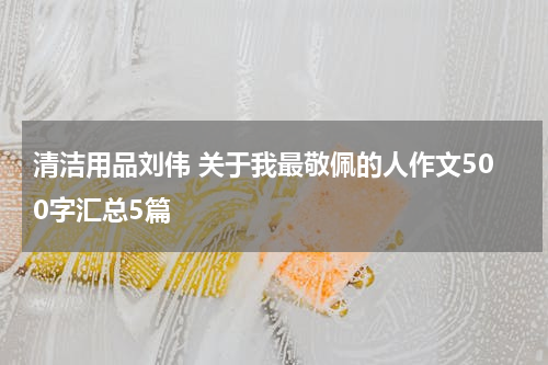 清洁用品刘伟 关于我最敬佩的人作文500字汇总5篇