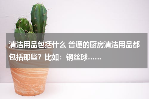 清洁用品包括什么 普通的厨房清洁用品都包括那些？比如：钢丝球……