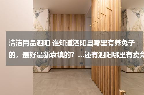 清洁用品泗阳 谁知道泗阳县哪里有养兔子的，最好是新袁镇的？…还有泗阳哪里有卖兔子饲料的，急！…谢谢