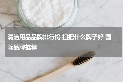 清洁用品品牌排行榜 扫把什么牌子好 国际品牌推荐