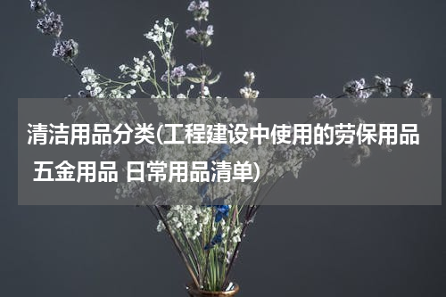 清洁用品分类(工程建设中使用的劳保用品 五金用品 日常用品清单)