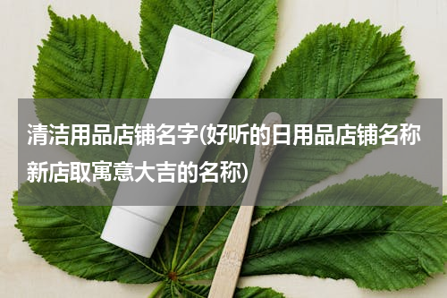 清洁用品店铺名字(好听的日用品店铺名称新店取寓意大吉的名称)
