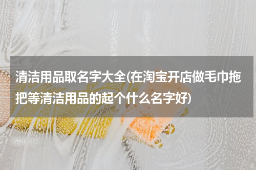 清洁用品取名字大全(在淘宝开店做毛巾拖把等清洁用品的起个什么名字好)