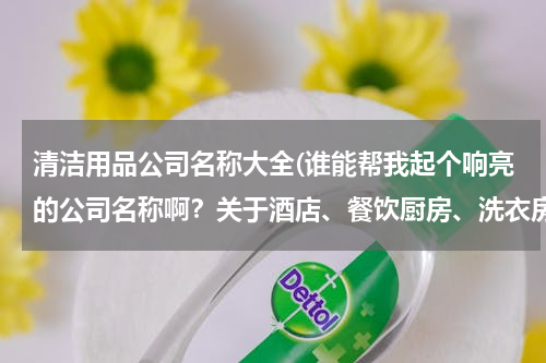 清洁用品公司名称大全(谁能帮我起个响亮的公司名称啊？关于酒店、餐饮厨房、洗衣房的清洁用品。谢谢各位！)