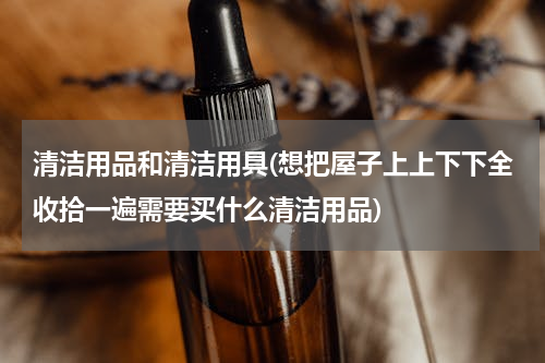 清洁用品和清洁用具(想把屋子上上下下全收拾一遍需要买什么清洁用品)