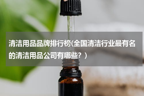 清洁用品品牌排行榜(全国清洁行业最有名的清洁用品公司有哪些？)