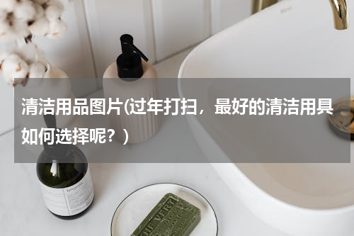 清洁用品图片(过年打扫，最好的清洁用具如何选择呢？)