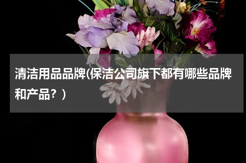 清洁用品品牌(保洁公司旗下都有哪些品牌和产品？)