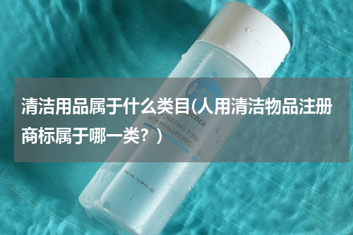 清洁用品属于什么类目(人用清洁物品注册商标属于哪一类？)