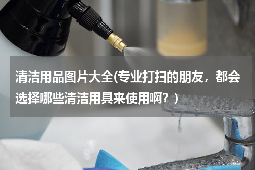 清洁用品图片大全(专业打扫的朋友，都会选择哪些清洁用具来使用啊？)