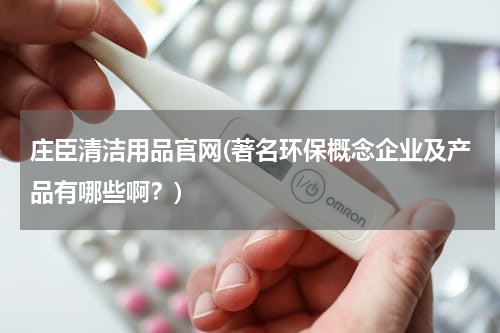 庄臣清洁用品官网(著名环保概念企业及产品有哪些啊？)