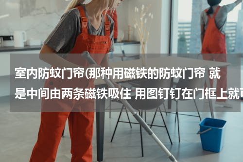 室内防蚊门帘(那种用磁铁的防蚊门帘 就是中间由两条磁铁吸住 用图钉钉在门框上就可以的)