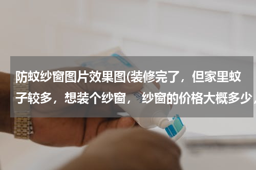 防蚊纱窗图片效果图(装修完了，但家里蚊子较多，想装个纱窗， 纱窗的价格大概多少，有装修过的人支招不？给点建议)