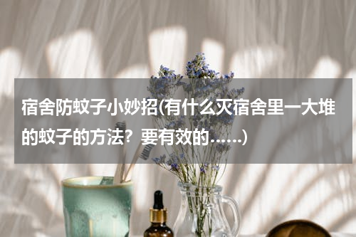 宿舍防蚊子小妙招(有什么灭宿舍里一大堆的蚊子的方法？要有效的……)