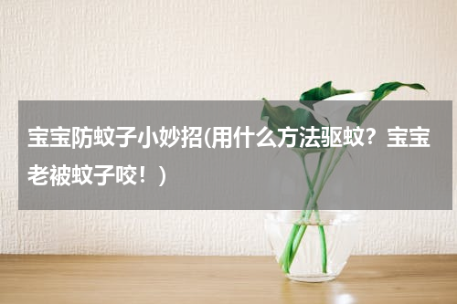 宝宝防蚊子小妙招(用什么方法驱蚊？宝宝老被蚊子咬！)
