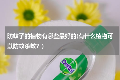 防蚊子的植物有哪些最好的(有什么植物可以防蚊杀蚊？)