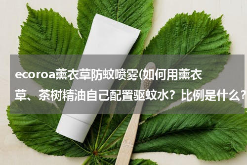 ecoroa薰衣草防蚊喷雾(如何用薰衣草、茶树精油自己配置驱蚊水？比例是什么？)