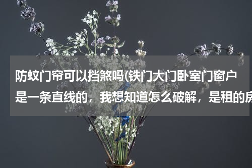防蚊门帘可以挡煞吗(铁门大门卧室门窗户是一条直线的，我想知道怎么破解，是租的房子不好改动，摆放什么比较好)