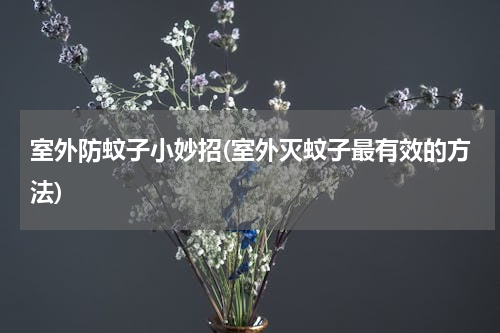 室外防蚊子小妙招(室外灭蚊子最有效的方法)