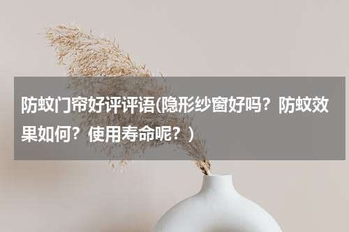 防蚊门帘好评评语(隐形纱窗好吗？防蚊效果如何？使用寿命呢？)