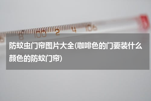 防蚊虫门帘图片大全(咖啡色的门要装什么颜色的防蚊门帘)