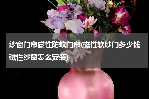 纱窗门帘磁性防蚊门帘(磁性软纱门多少钱磁性纱窗怎么安装)