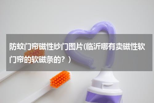 防蚊门帘磁性纱门图片(临沂哪有卖磁性软门帘的软磁条的？)