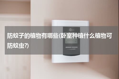 防蚊子的植物有哪些(卧室种植什么植物可防蚊虫?)