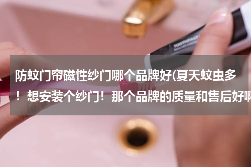 防蚊门帘磁性纱门哪个品牌好(夏天蚊虫多！想安装个纱门！那个品牌的质量和售后好啊？)