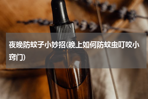夜晚防蚊子小妙招(晚上如何防蚊虫叮咬小窍门)