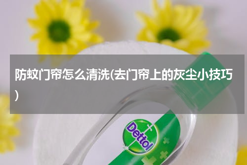 防蚊门帘怎么清洗(去门帘上的灰尘小技巧)