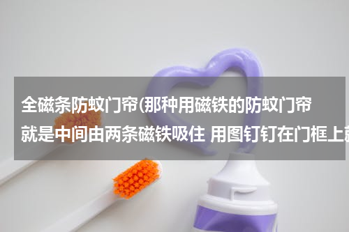 全磁条防蚊门帘(那种用磁铁的防蚊门帘 就是中间由两条磁铁吸住 用图钉钉在门框上就可以的)