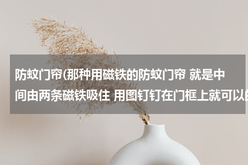 防蚊门帘(那种用磁铁的防蚊门帘 就是中间由两条磁铁吸住 用图钉钉在门框上就可以的)