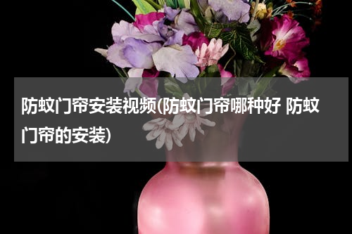 防蚊门帘安装视频(防蚊门帘哪种好 防蚊门帘的安装)