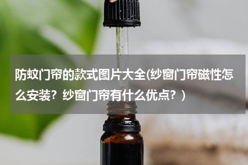 防蚊门帘的款式图片大全(纱窗门帘磁性怎么安装？纱窗门帘有什么优点？)
