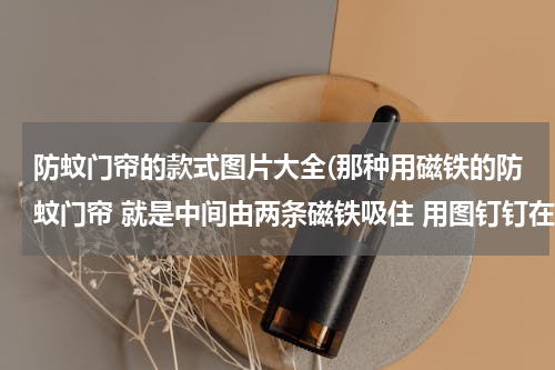 防蚊门帘的款式图片大全(那种用磁铁的防蚊门帘 就是中间由两条磁铁吸住 用图钉钉在门框上就可以的)