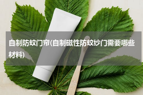 自制防蚊门帘(自制磁性防蚊纱门需要哪些材料)