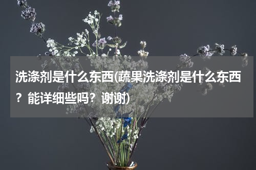 洗涤剂是什么东西(蔬果洗涤剂是什么东西？能详细些吗？谢谢)