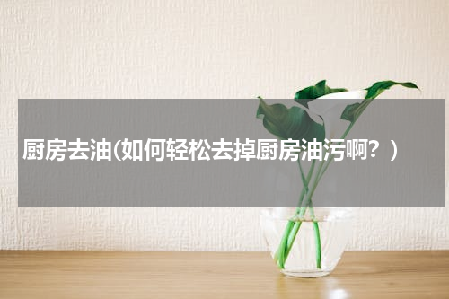 厨房去油(如何轻松去掉厨房油污啊？)