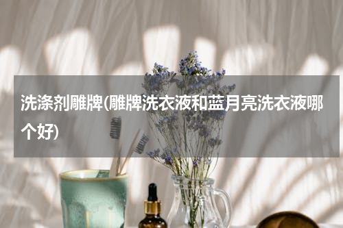 洗涤剂雕牌(雕牌洗衣液和蓝月亮洗衣液哪个好)