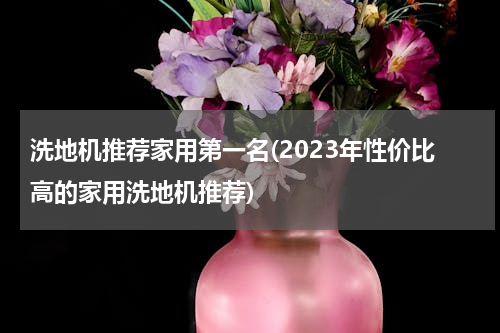 洗地机推荐家用第一名(2023年性价比高的家用洗地机推荐)