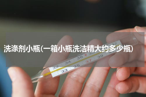洗涤剂小瓶(一箱小瓶洗洁精大约多少瓶)