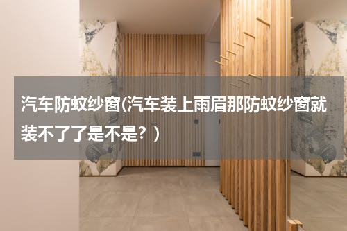 汽车防蚊纱窗(汽车装上雨眉那防蚊纱窗就装不了了是不是？)
