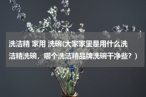 洗洁精 家用 洗碗(大家家里是用什么洗洁精洗碗，哪个洗洁精品牌洗碗干净些？)