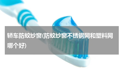 轿车防蚊纱窗(防蚊纱窗不锈钢网和塑料网哪个好)