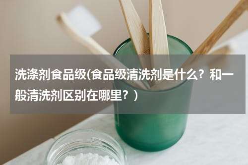 洗涤剂食品级(食品级清洗剂是什么？和一般清洗剂区别在哪里？)