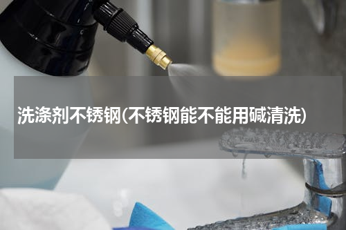 洗涤剂不锈钢(不锈钢能不能用碱清洗)