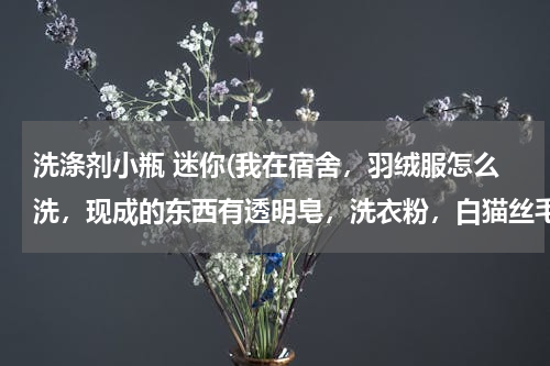 洗涤剂小瓶 迷你(我在宿舍，羽绒服怎么洗，现成的东西有透明皂，洗衣粉，白猫丝毛洗涤剂)